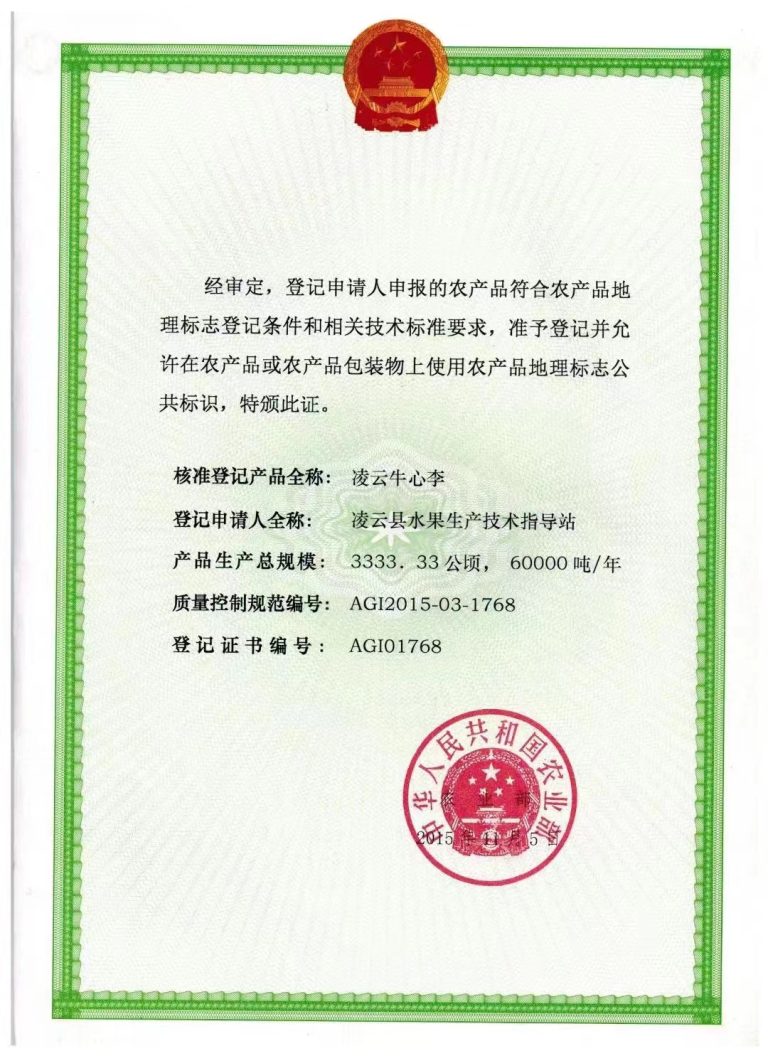 工厂老板群里炸锅了：高端医疗设备为啥离不开进口？