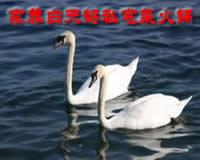 科教积木哪家好：现场见过的几个真实坑，老师傅教你避开常见坑